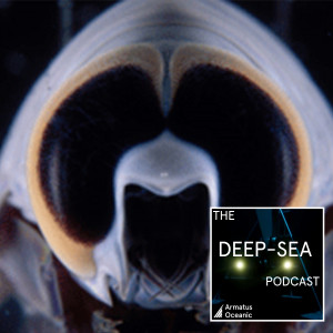 026 – Vision in the deep sea with Justin Marshall