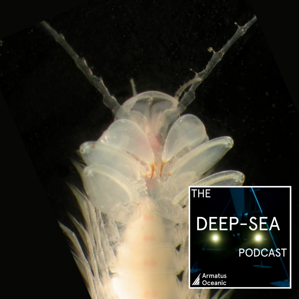 The Deep-Sea Podcast