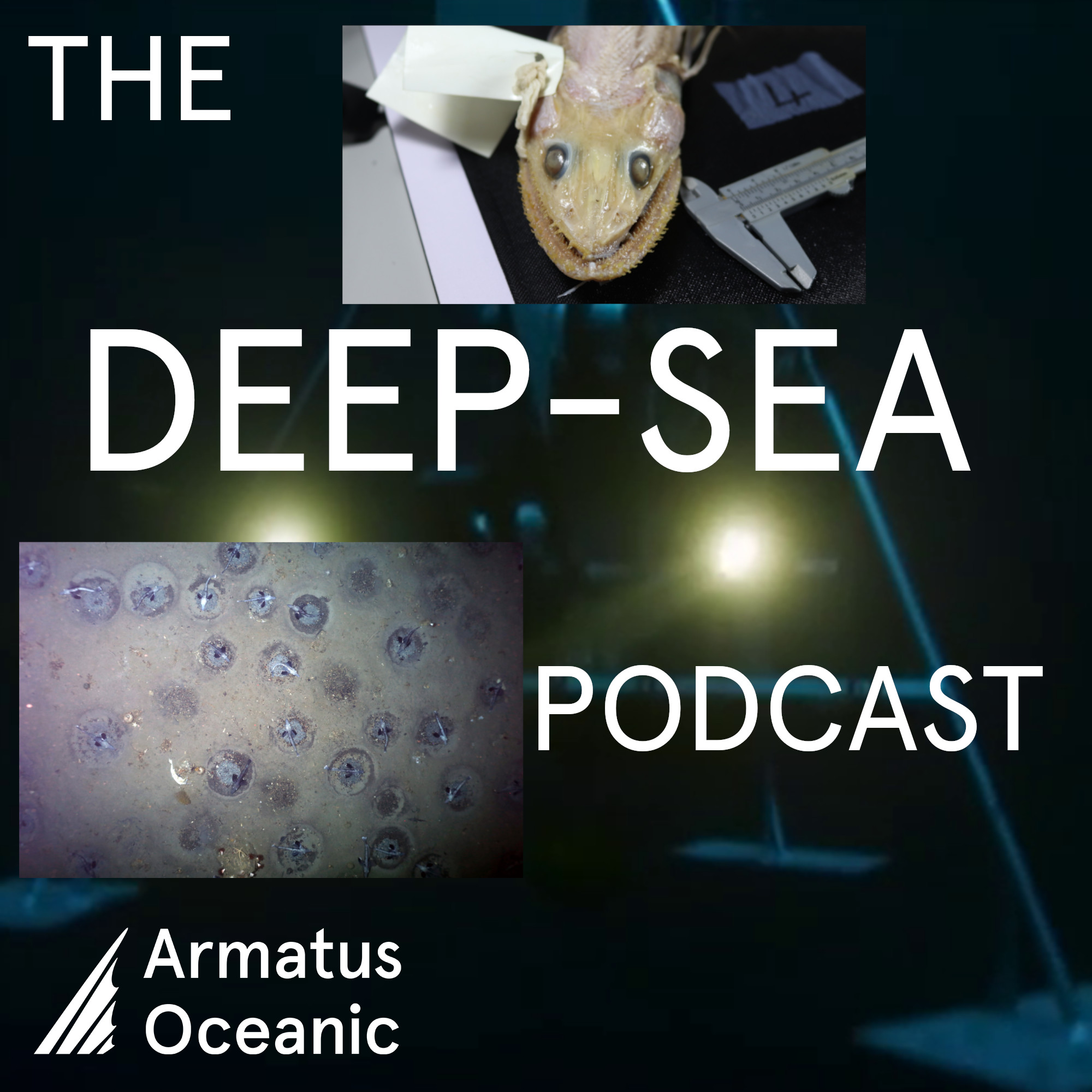 The Deep-Sea Podcast