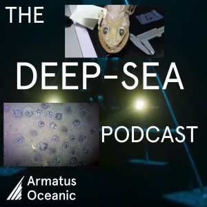 020 – Love in the deep sea with Craig Young