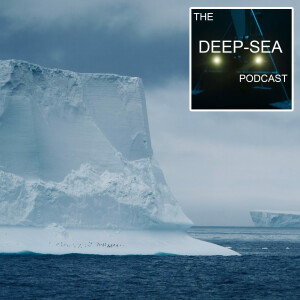 Antarctic ice-seabed interactions