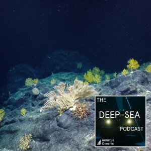 Deep-water corals with Di Tracey