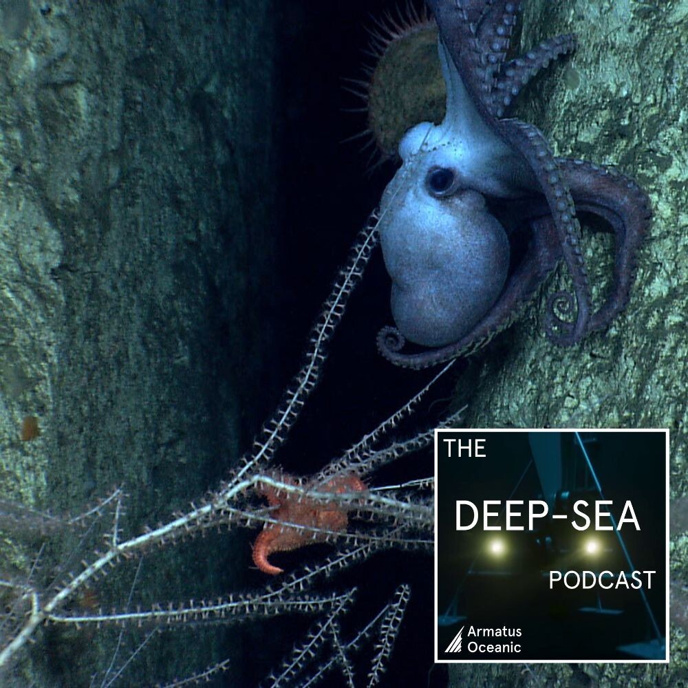The Deep-Sea Podcast