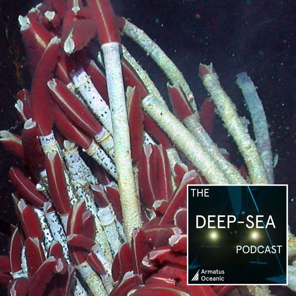 The Deep-Sea Podcast
