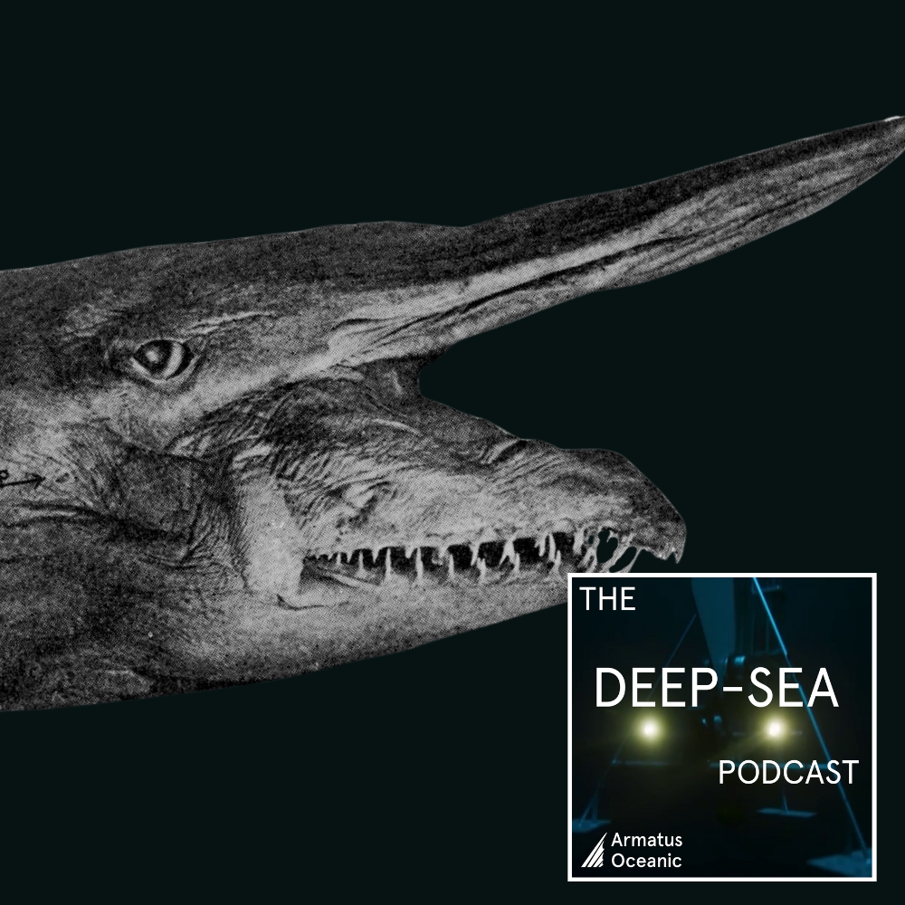 The Deep-Sea Podcast