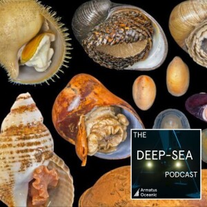 039 - Mollusc special with Kerry Walton