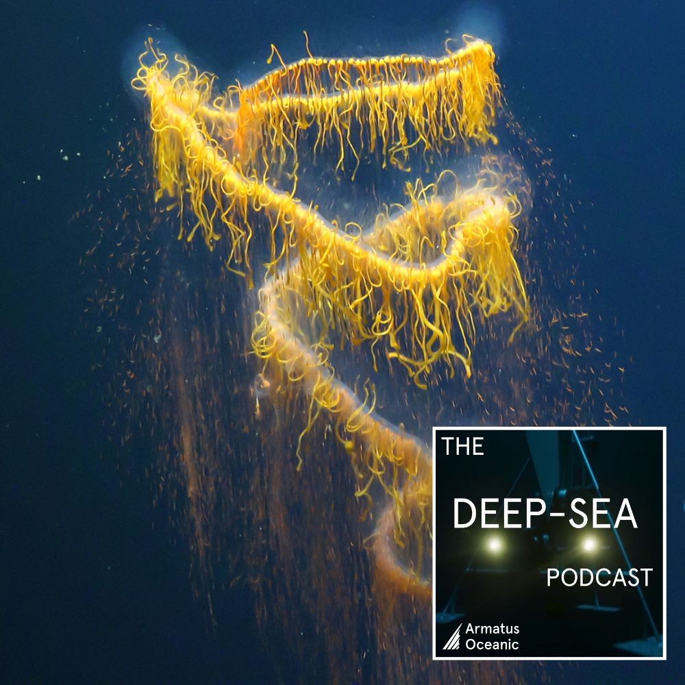 The Deep-Sea Podcast