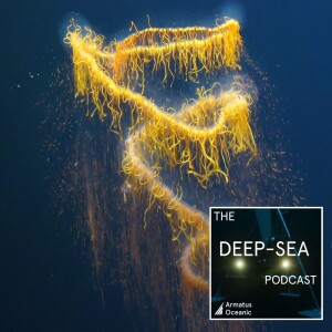 038 - Deep-sea jellies with George Matsumoto