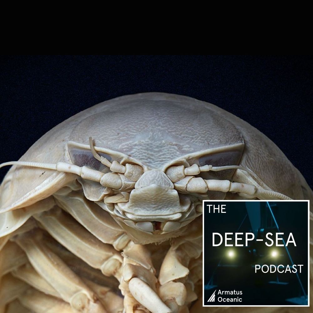 The Deep-Sea Podcast