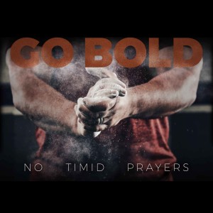 Go Bold | No Timid Prayers | Wayne Heffner
