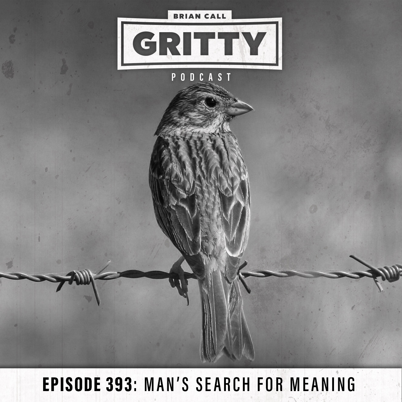 EPISODE 393 MAN’S SEARCH FOR MEANING