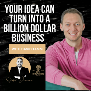 Your Idea Can Turn Into a Billion Dollar Business with David Tamm