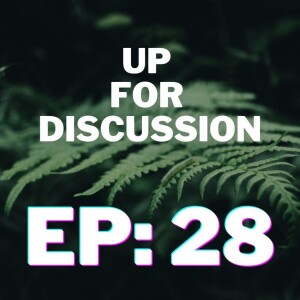 Up for Discussion - Episode 28 - Echoing a New Narrative on the Mountain of Economy