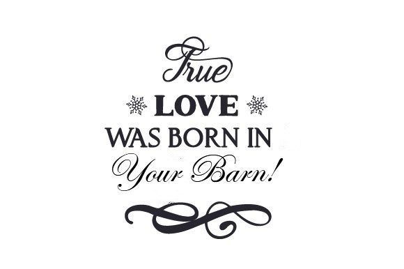 Love Born in a Barn podcast episode image.