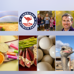 Starting The Red Meat Revolution with American Ostrich Farms, CEO, Alex McCoy