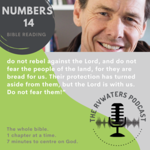 Numbers 14 NET Bible Reading