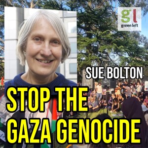 Sue Bolton: Socialist councillor speaks out on Gaza