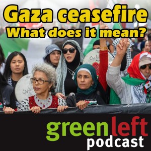 What does the Gaza ceasefire mean? | Green Left Podcast