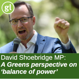 A Green’s perspective on parliamentary ’balance of power’