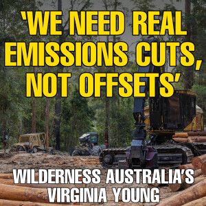 Wilderness Australia: 'We need real emissions cuts, not offsets'