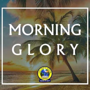 Morning Glory 15 October
