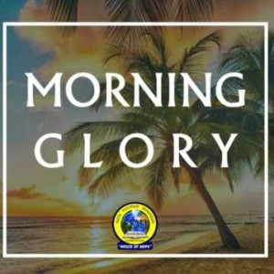 Morning Glory 21 December