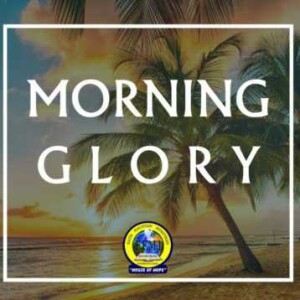 Morning Glory 16 January 2023