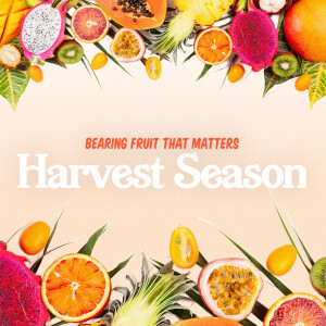 Harvest Season-Sowing To The Flesh Or The Spirit?-Angie Addy