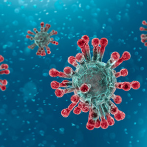 The Projected Coronavirus Peaks in all 50 States