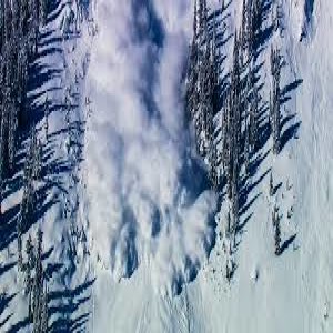 Avalanche Ski Litigation