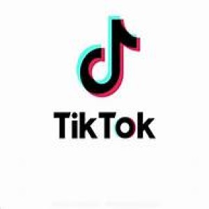 Background on the TikTok Data Privacy Litigation