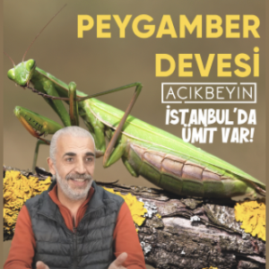 İstanbul’da Ümit Var | Peygamber Devesi | 24.Bölüm