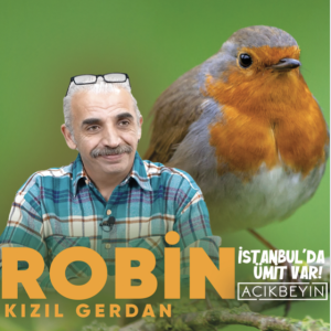 Robin: Nar Kuşu | İstanbul’da Ümit Var | 28.Bölüm