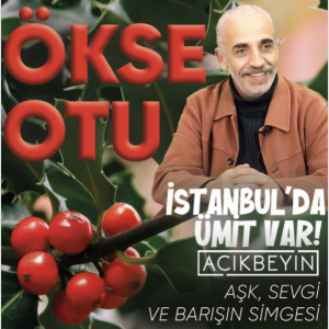 Yılbaşı Çiçeği: Ökse Otu | İstanbul’da Ümit Var | 29.Bölüm