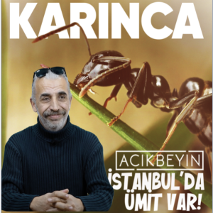Karınca | İstanbul’da Ümit Var | 30.Bölüm