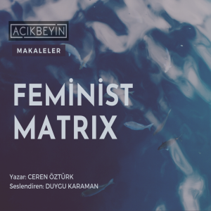 Feminist Matrix | AçıkBeyin Makaleler