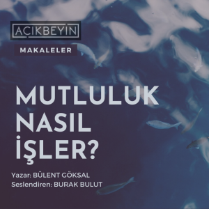 Mutluluk Nasıl İşler? | AçıkBeyin Makaleler