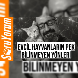 SoruYorum - Evcil Hayvanların Pek Bilinmeyen Yönleri