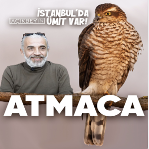 Atmaca | İstanbulda Ümit Var | 34. Bölüm
