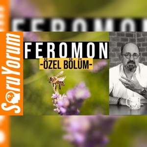 SoruYorum - FEROMON (Özel Bölüm)