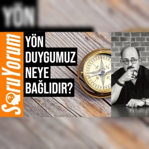 SoruYorum - Yön Duygumuz Neye Bağlıdır?