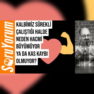 SoruYorum - Kalbimiz Sürekli Çalıştığı Halde Neden Hacmi Büyümüyor Ya Da Kas Kaybı Olmuyor?