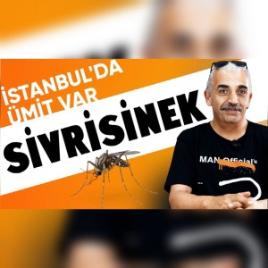 Sivrisinek | İstanbul‘da Ümit Var - B01