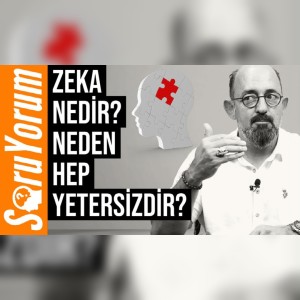 SoruYorum - Zeka Nedir? Neden Hep Yetersizdir?