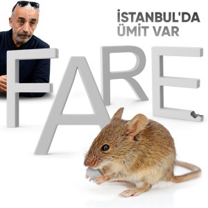Dünyayı Besleyen Canlı: FARE | İstanbul‘da Ümit Var - B14