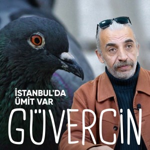 Tanrıdan Haber Taşıyan Canlı: GÜVERCİN | İstanbul’da Ümit Var - B17