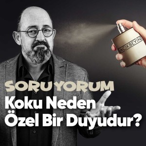 SoruYorum - Koku Neden Özel Bir Duyudur?