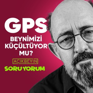 SoruYorum - GPS Beynimizi Küçültüyor Mu?