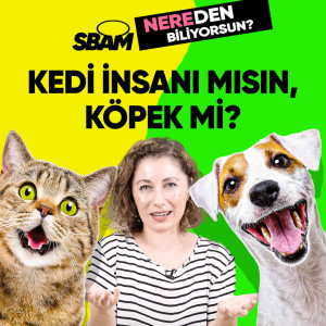 Kedi İnsanı Mısın, Köpek Mi? | Nereden Biliyorsun?