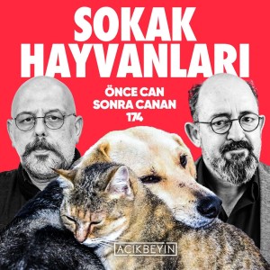 Sokak Hayvanları | Önce Can Sonra Canan | 174. Bölüm